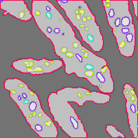 Annotation Visualization