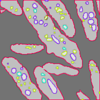 Annotation Visualization