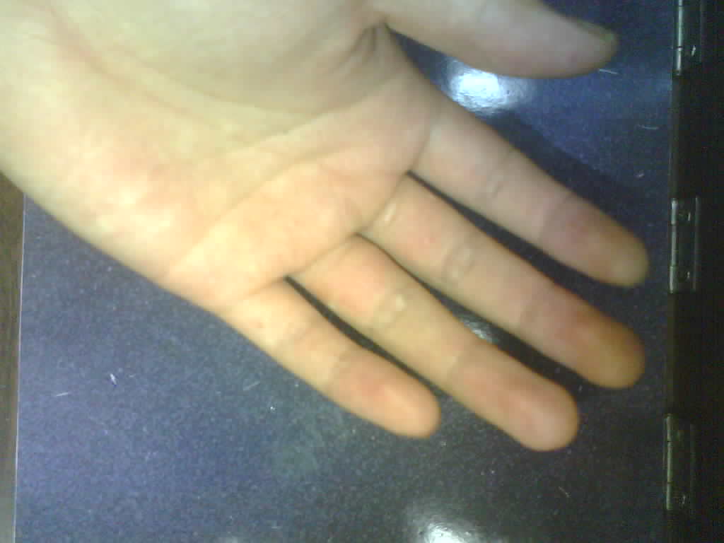 Ottomation Roboflow Universe