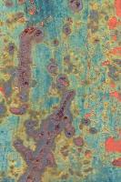rust-detection-segmentation project thumbnail