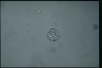 Research project thumbnail