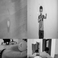 Dataset Image