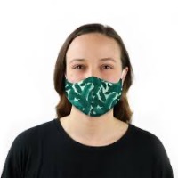 mask Object Detection Dataset by Armin zomorodi