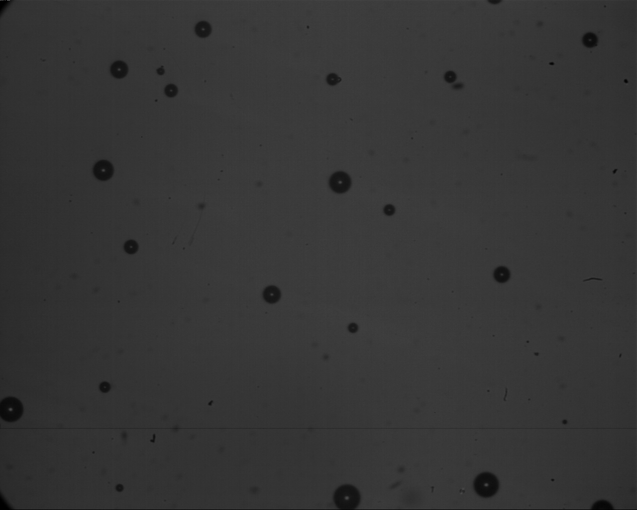 microbubble seg Instance Segmentation Dataset by seoul national ...