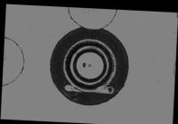 batter project thumbnail