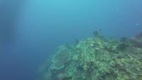 huangse+xiawo project thumbnail