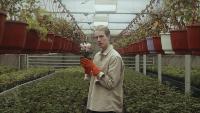 Flower pot and Flower project thumbnail
