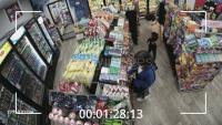 Dataset Image