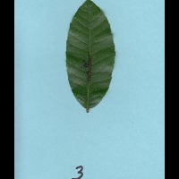 Disease_Classification project thumbnail