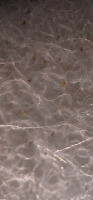 MP project thumbnail
