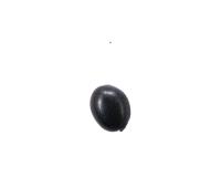 Find black bean project thumbnail