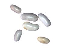 Find black bean 2 project thumbnail