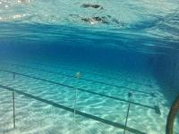 slalom_pool project thumbnail