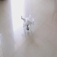 drones birds planes project thumbnail