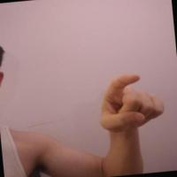sibi-detection project thumbnail