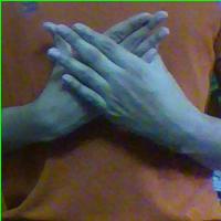 Dataset Image