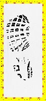ShoeSize project thumbnail