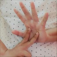 bisindo-hand-detection project thumbnail