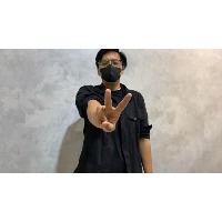 allDataset project thumbnail