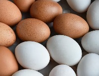 eggg project thumbnail