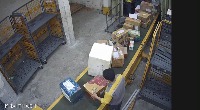 Dataset Image