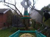 Dataset Image