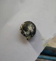 Pigeon Poop project thumbnail