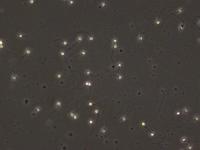 SPERM - Nhi Test project thumbnail