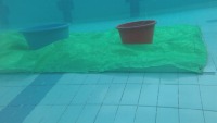 Blue_tub project thumbnail