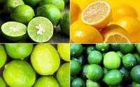 Find limes and lemons project thumbnail