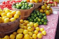 find lime and lemon project thumbnail