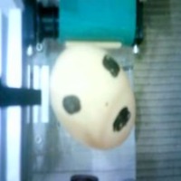 dd egg project thumbnail
