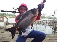 dataset_ikan project thumbnail