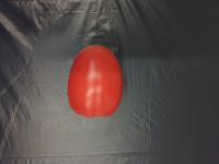 tomato auto project thumbnail