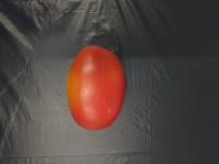 tomato 1 project thumbnail