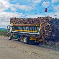 TruckCane AI project thumbnail