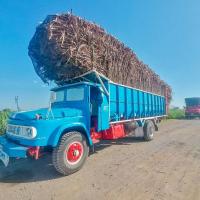Safe or Unsafe Sugarcane Trucks project thumbnail