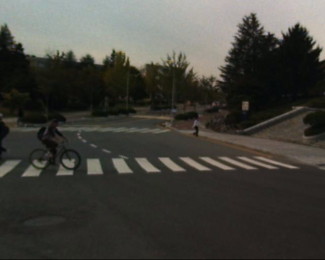 Syed Muhammad Raza (syed-muhammad-raza-6lwo1) - Roboflow Universe