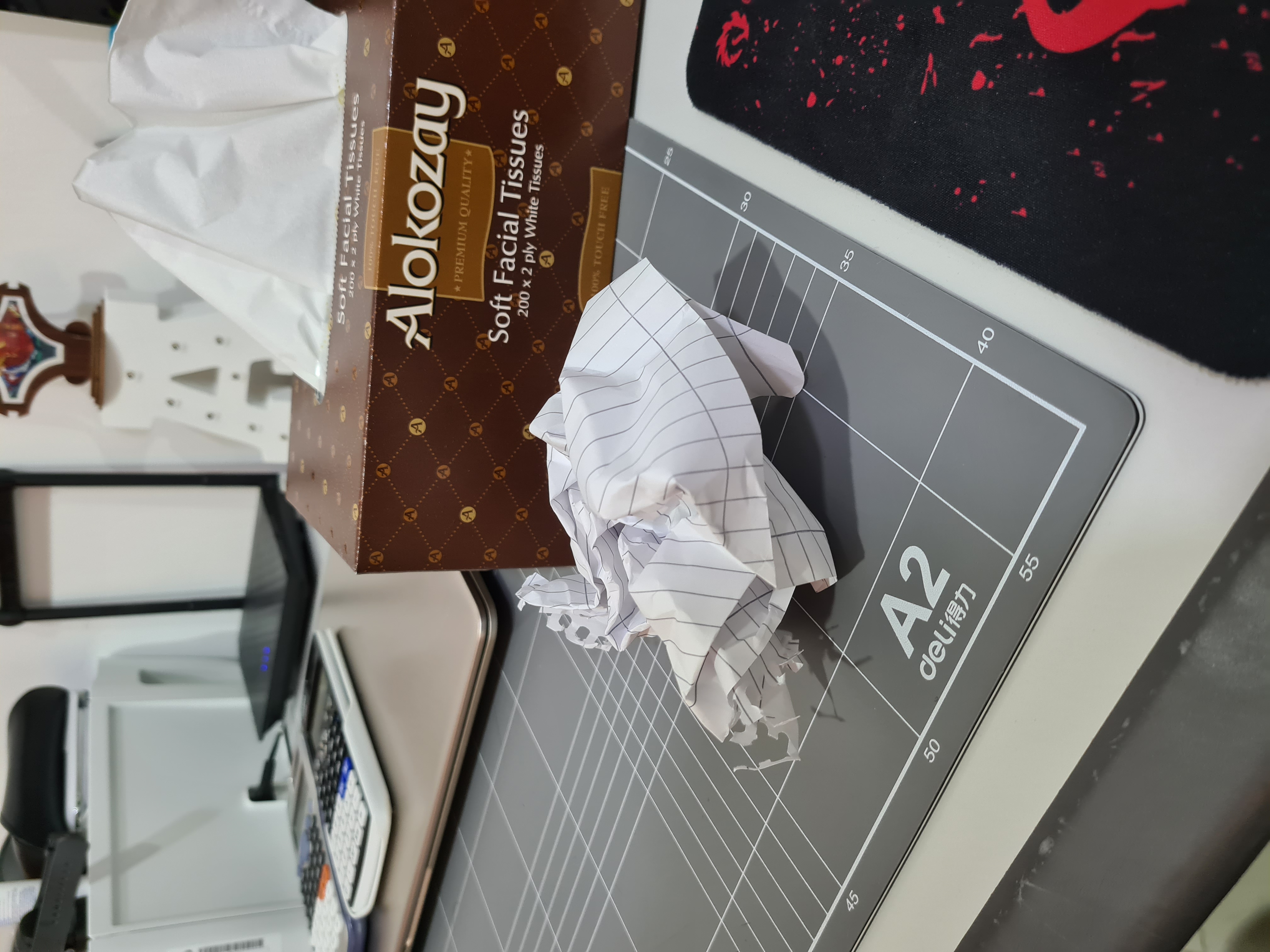 rpi-detect-cans Object Detection Dataset by FYP