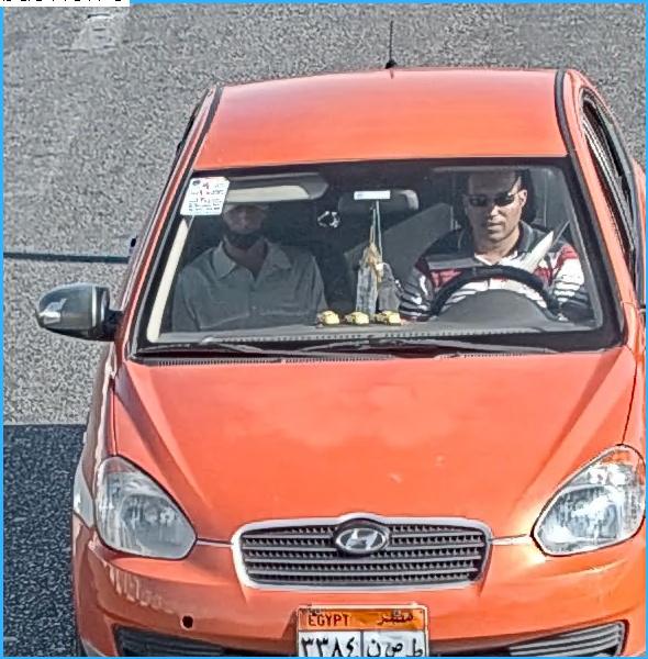 Detect Object Detection Dataset by Detect