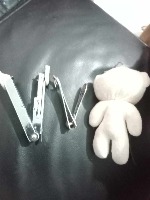 Dataset Image