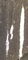 detection project thumbnail