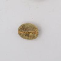 Coffee Bean Defects 900 project thumbnail