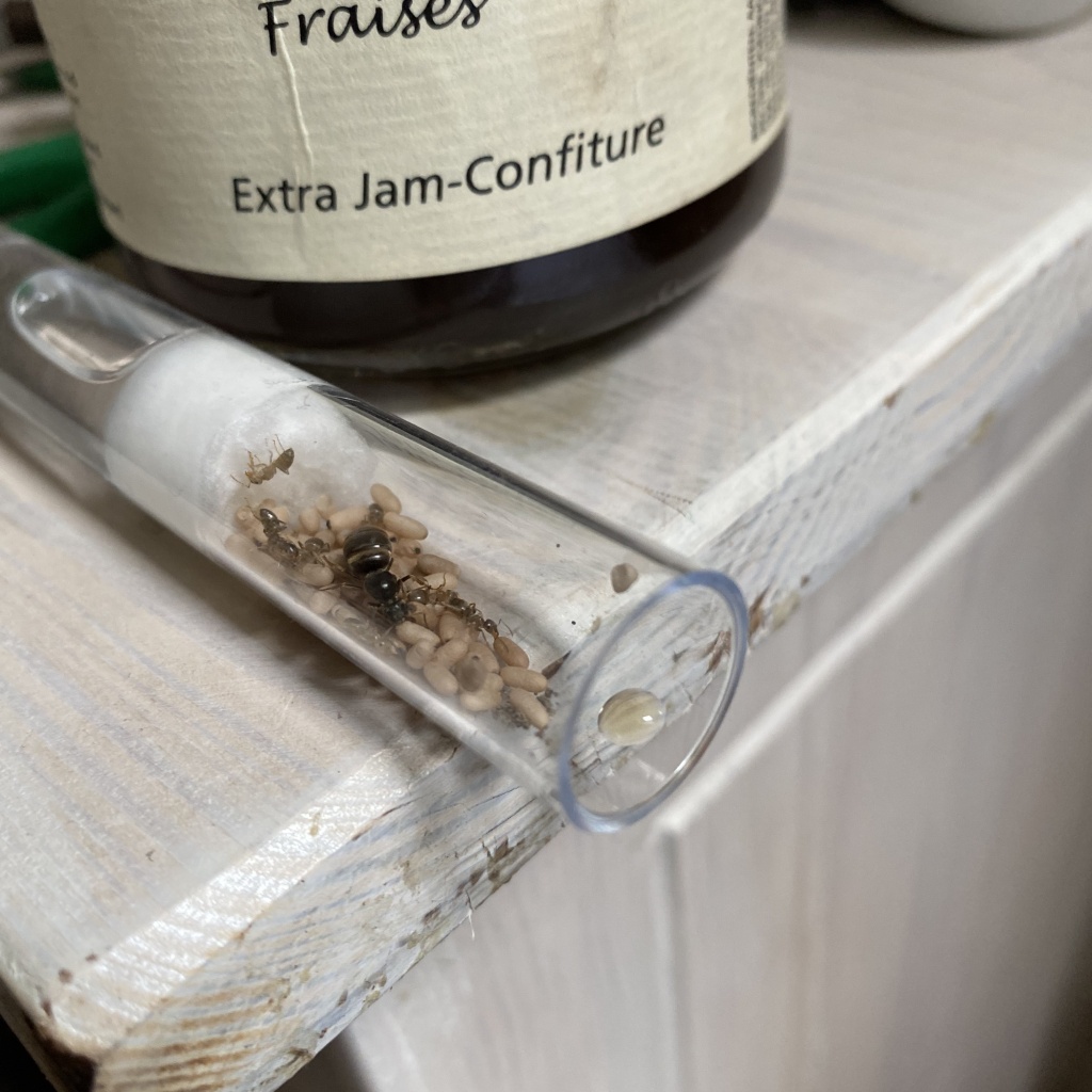 Roboflow test workspace - Roboflow Universe