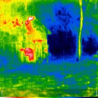 thermal dogs and people Object Detection Model by Roboflow 100