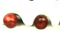 cherrydetection project thumbnail
