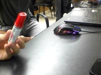 YOLO TRIAL project thumbnail