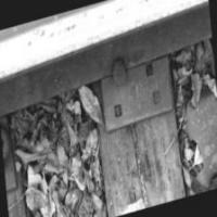 third-gan project thumbnail