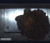 matang_v1 project thumbnail