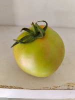 Tomato maturity project thumbnail